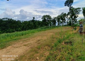 Pemdes  Sumberoto , Donomulyo Kabupaten Malang Di Duga Arogan , Mengambil Alih Lahan IPHPS Milik warga