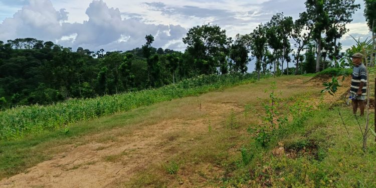 Pemdes  Sumberoto , Donomulyo Kabupaten Malang Di Duga Arogan , Mengambil Alih Lahan IPHPS Milik warga