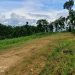 Pemdes  Sumberoto , Donomulyo Kabupaten Malang Di Duga Arogan , Mengambil Alih Lahan IPHPS Milik warga