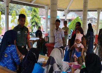 Upaya Cegah Stunting Di Wilayah Binaan, Babinsa Desa Ngembul Dampingi Kegiatan Posyandu