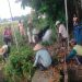 Bersama Warga, Babinsa Gogodeso Gotong Royong Bersihkan Lingkungan Dan Saluran Air