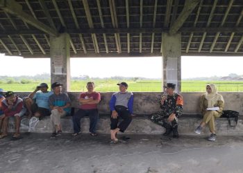 Sambut Panen Raya, Babinsa Bendosewu Bersama PPL Sosialisasikan Sergab ke Poktan Rukun Santoso 2