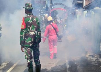 Antisipasi Demam Berdarah Babinsa Bersama Tim Kesehatan Puskesmas Melaksanakan Fogging Dan Sosialisasi Di Sananwetan