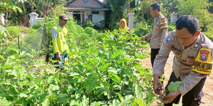 Dukung Ketahanan Pangan, Polres Nganjuk Dampingi Pemanfaatan Lahan Pekarangan Lestari