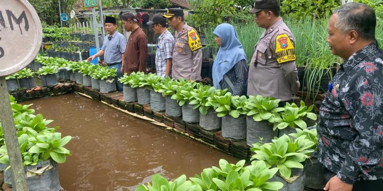 Kapolsek Warujayeng Tinjau Pemanfaatan Lahan Pekarangan Lestari di Pomosda
