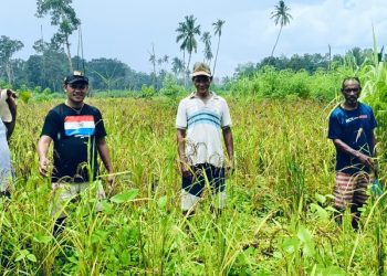 ” Refutu” Ekonomi Warga terus di Genjot, “Jalan Akses menjadi Kendala” PEMDA dan DPRD KKT diminta segera tuntaskan Jalan Batu Putih – Abat “