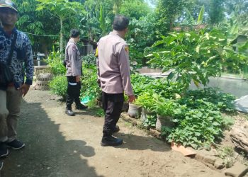 Dukung Ketahanan Pangan, Polsek Baron Pantau Budidaya Lele di Desa Mabung