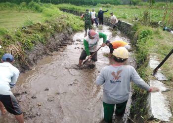 Optimalkan Saluran Irigasi Pertanian, Babinsa Kalipucung Bersama Poktan Tata Tentram Lakukan Kerja Bakti