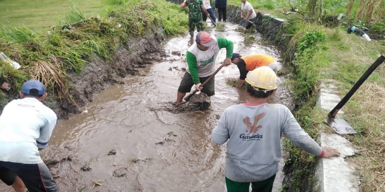 Optimalkan Saluran Irigasi Pertanian, Babinsa Kalipucung Bersama Poktan Tata Tentram Lakukan Kerja Bakti