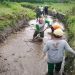 Optimalkan Saluran Irigasi Pertanian, Babinsa Kalipucung Bersama Poktan Tata Tentram Lakukan Kerja Bakti