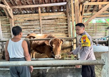 Polsek Lengkong Pantau Peternakan Warga, Antisipasi Penyakit PMK