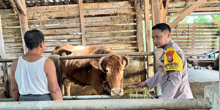 Polsek Lengkong Pantau Peternakan Warga, Antisipasi Penyakit PMK