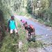 Minggu Bersih, Babinsa Ngadirenggo Bersama Warga Gotong Royong Bersihkan Lingkungan