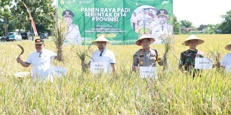 Kapolres Nganjuk Hadiri Panen Raya Padi Serentak, Tegaskan Komitmen Dukung Ketahanan Pangan