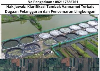 Hak Jawab: Klarifikasi Tambak Vannamei Terkait Dugaan Pelanggaran dan Pencemaran Lingkungan