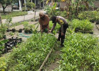 Dukung Ketahanan Pangan, Bhabinkamtibmas Polsek Lengkong Panen Kangkung dan Terong di Lahan Warga