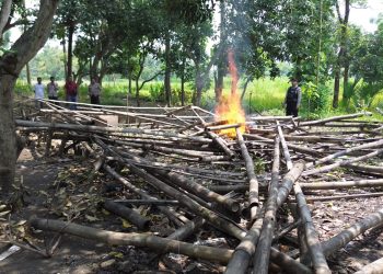 Patroli Drone, Polres Pasuruan Kota Berhasil Identifikasi dan Bongkar Lokasi Sabung Ayam