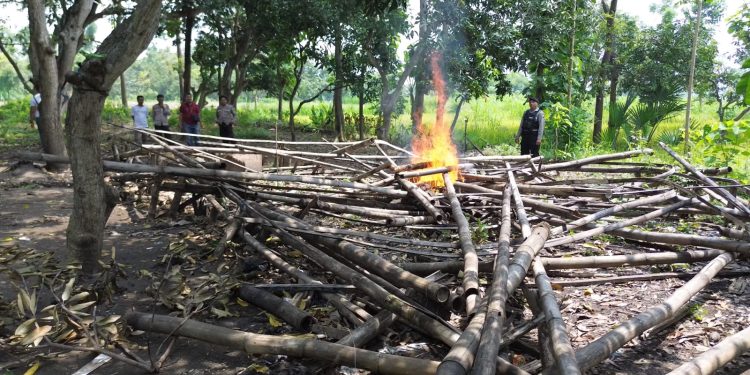 Patroli Drone, Polres Pasuruan Kota Berhasil Identifikasi dan Bongkar Lokasi Sabung Ayam