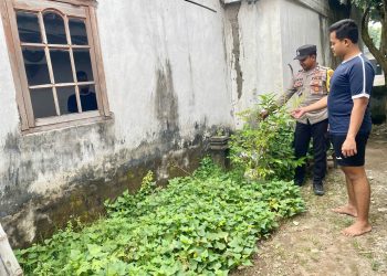 Pantau Tanaman Cabai, Polsek Loceret Dukung Ketahanan Pangan Warga