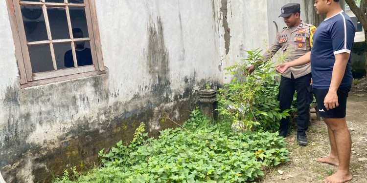 Pantau Tanaman Cabai, Polsek Loceret Dukung Ketahanan Pangan Warga