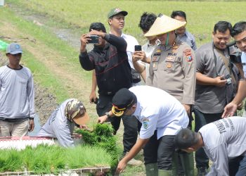 Nganjuk Dukung Swasembada Pangan Lewat Gerakan Tanam Padi Serentak
