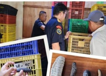 PT.Hai Zhong Bao Miliki Ijin Resmi,lainnya Ilegal,APH segera bertindak!