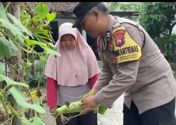 Dukung Ketahanan Pangan, Bhabinkamtibmas Desa Senjayan Pantau Pekarangan Bergizi Warga