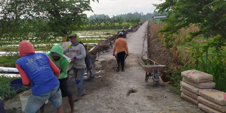 Pemdes Juwet Kunjang Melaksanakan Program Ketahanan Pangan ,Pembangunan TPJ jalan Dusun Sambong Melalui Dana Desa Tahun 2025