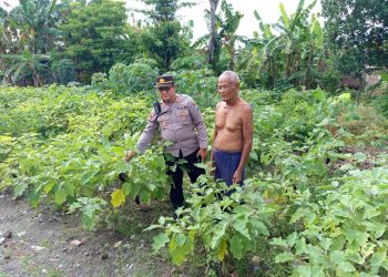 Wujudkan Kemandirian Pangan, Polsek Patianrowo Dampingi Warga Kelola Pekarangan