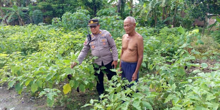Wujudkan Kemandirian Pangan, Polsek Patianrowo Dampingi Warga Kelola Pekarangan