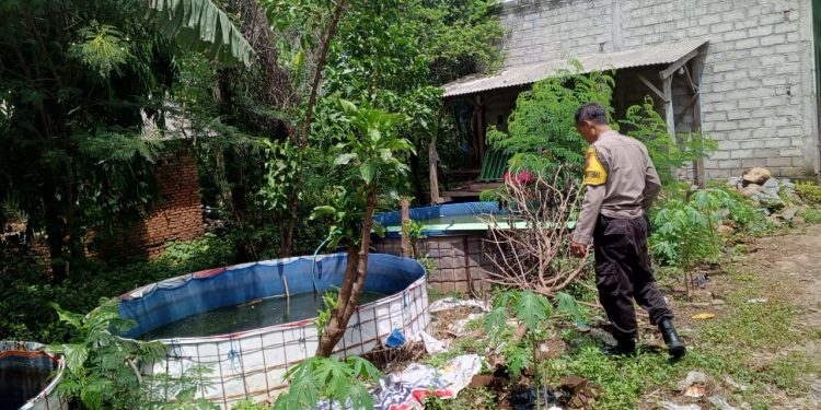 Bhabinkamtibmas Berbek Dorong Budidaya Lele dan Nila di Pekarangan Rumah