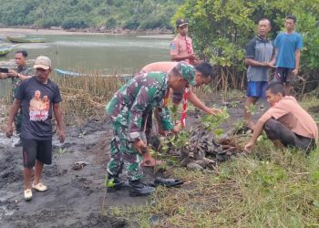 Babinsa Desa Wates, Pramuka Dan Warga Bersatu Lestarikan Alam Dengan Menanam Mangrove