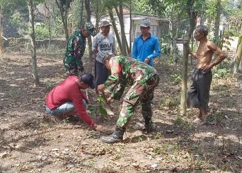 Babinsa Wonodadi Dan Warga Laksanakan Penghijauan Demi Lingkungan Hijau Dan Sehat