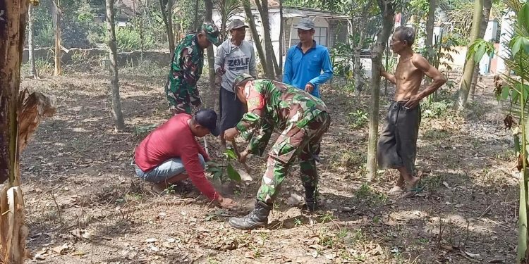 Babinsa Wonodadi Dan Warga Laksanakan Penghijauan Demi Lingkungan Hijau Dan Sehat