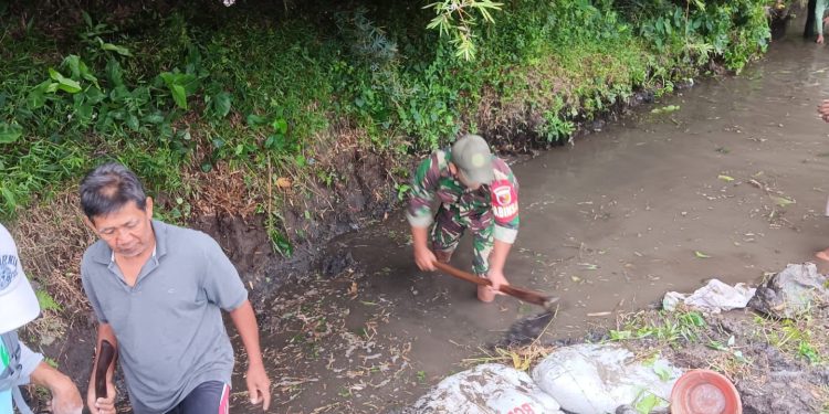 Jaga Kelancaran Pengairan Pertanian, Babinsa Desa Gondang Ajak Warga Kerja Bakti Memperbaiki Tanggul Sungai