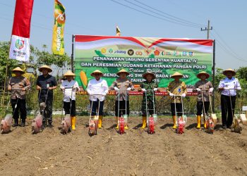 Polres Jombang Kolaborasi Tanam Jagung Serentak di Desa Plosogenuk, Terhubung Virtual dengan Wapres RI dan Kapolri