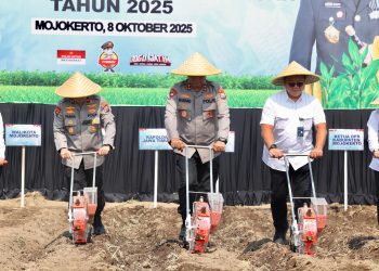 Kapolda Jatim Pimpin Penanaman Jagung Serentak Kwartal IV di Mojokerto Pakai Benih Eco Bhayangkara