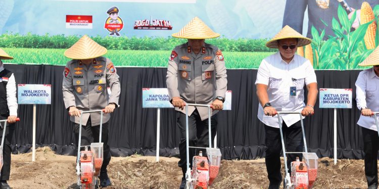 Kapolda Jatim Pimpin Penanaman Jagung Serentak Kwartal IV di Mojokerto Pakai Benih Eco Bhayangkara