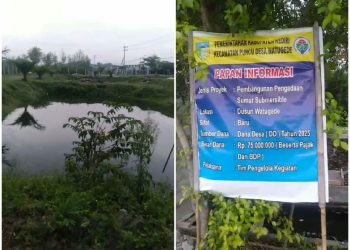 Kades Watugede Kecamatan Puncu Kediri ” Irwantoro , Alergi ,  Wartawan