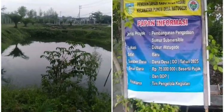 Kades Watugede Kecamatan Puncu Kediri ” Irwantoro , Alergi ,  Wartawan