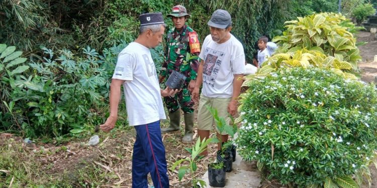 Cegah Longsor, Babinsa Garum Bersama Warga Tanam Pohon Keras Di Lingkungan Magersari
