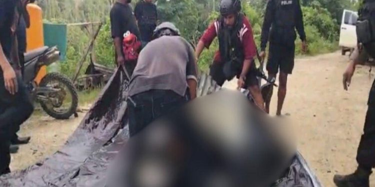 Dua Korban Tewas dalam Penyerangan di Pos Pengamanan PT Kristal Nabire, Satgas Ops Damai Cartenz Lakukan Penyelidikan Mendalam