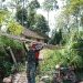Bahu Membahu Pasang Genteng RTLH, Satgas TMMD Ke 127 Kodim 0808/Blitar Dan Warga Tunjukkan Kekompakan