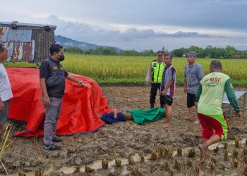 Warga Baturetno Meninggal Dunia Saat Panen Padi, Polsek Pracimantoro Gerak Cepat Lakukan Penanganan