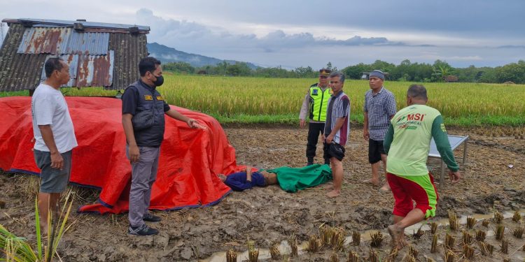 Warga Baturetno Meninggal Dunia Saat Panen Padi, Polsek Pracimantoro Gerak Cepat Lakukan Penanganan