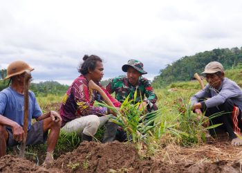 Disela Kesibukan, Satgas TMMD KE-127 Kodim 0808/Blitar Jalin Keakraban Bersama Petani Di Desa Krisik