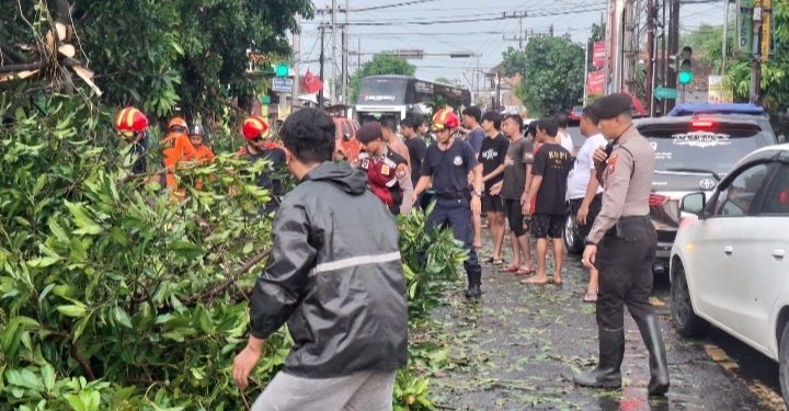 Gerak Cepat Polisi Bersama BPBD dan Warga Evakuasi Pohon Tumbang Di Wilayah Kota Kediri Sore Ini