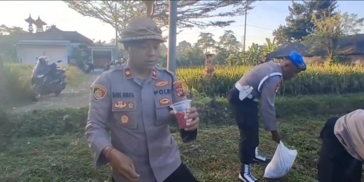 Perkuat Ketahanan Pangan, Kapolsek Tabanan Pimpin Penanaman Jagung Serentak di Subak Bungan Kapal
