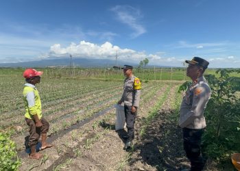 Dukung Ketahanan Pangan, Bhabinkamtibmas Polsek Tarokan Lakukan Pengecekan dan Edukasi di Dusun Becek
