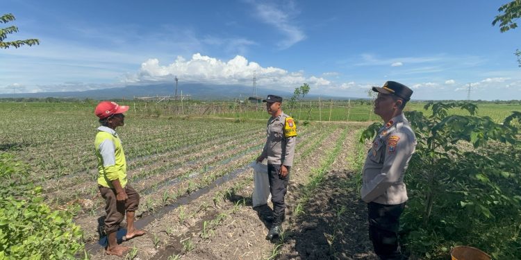 Dukung Ketahanan Pangan, Bhabinkamtibmas Polsek Tarokan Lakukan Pengecekan dan Edukasi di Dusun Becek